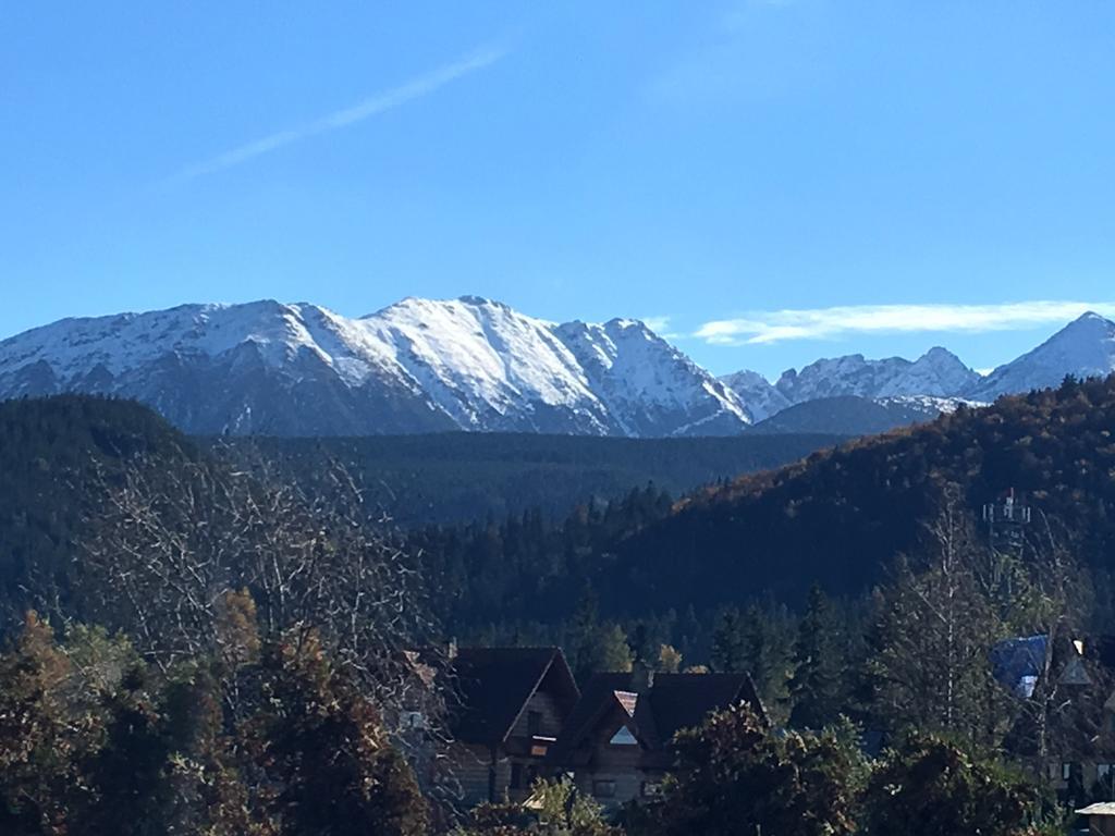 Villa Gronik Закопане Экстерьер фото